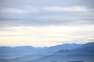 DSC_0104 (Large).JPG